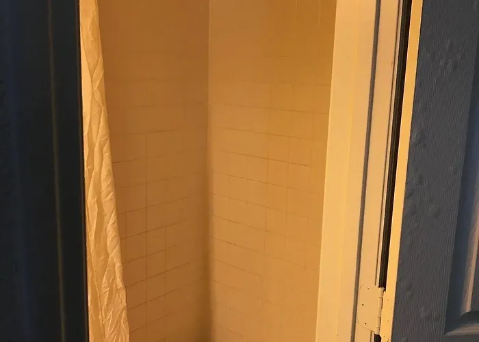 6 Tallahassee, Fl North Monroe Hotel 3*